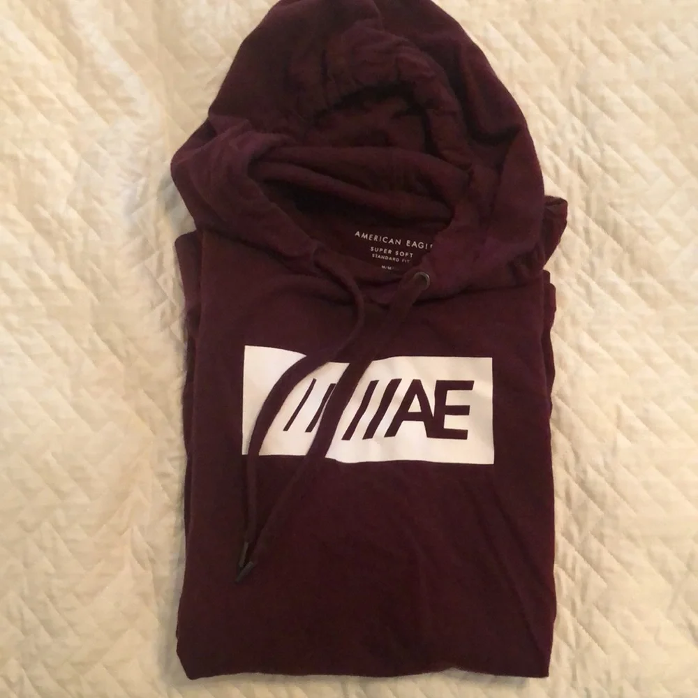 American Eagle light weight hoodie, EUC, Mens Medium - Picture 2 of 3